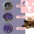 291aa76b003b874180abb19c451ebd45