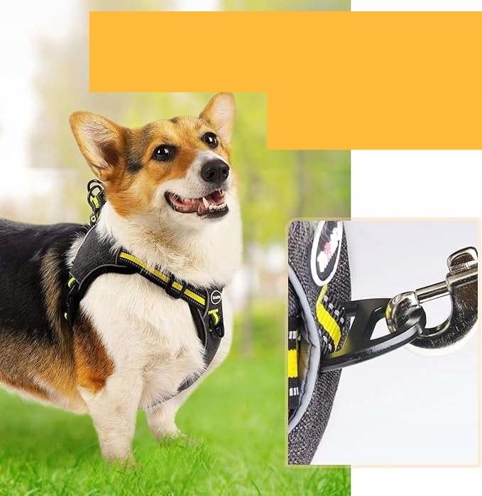 1f016cf0e2713f637e15dfb3f188cc56