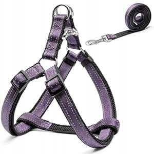 eeab7224ee037bcfdac7b2e6b2bbc43a